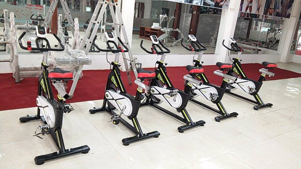 Xe đạp tập thể dục Đại Việt